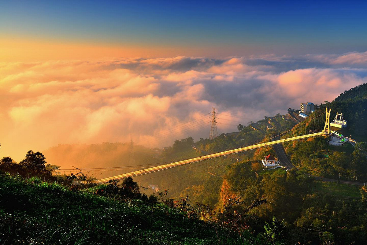 太平雲梯蟬聯阿里山風景區人氣王，付費登梯人數3萬6,673人。 圖：取自粉專「太平雲梯」