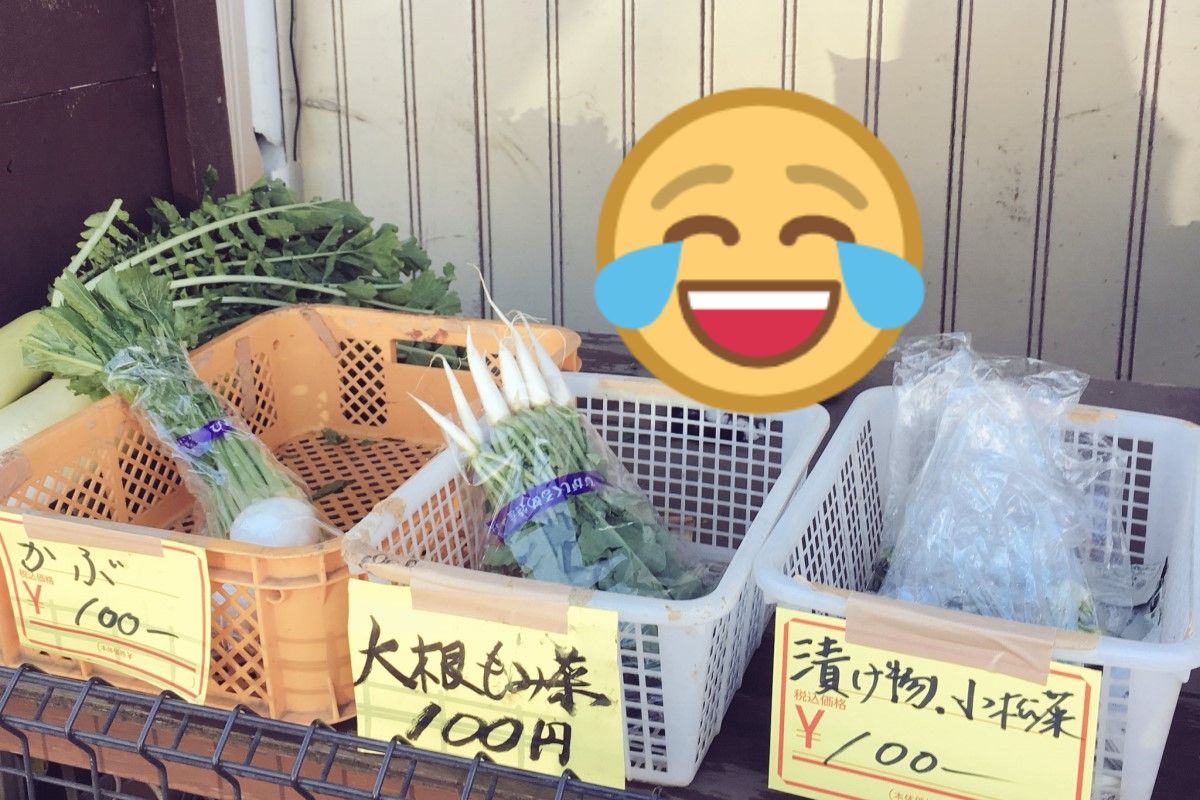 日本一名女網友騎單車時，巧遇一隻貓咪正在顧菜攤。 圖：取自twitter＠YorumaniaTaekov