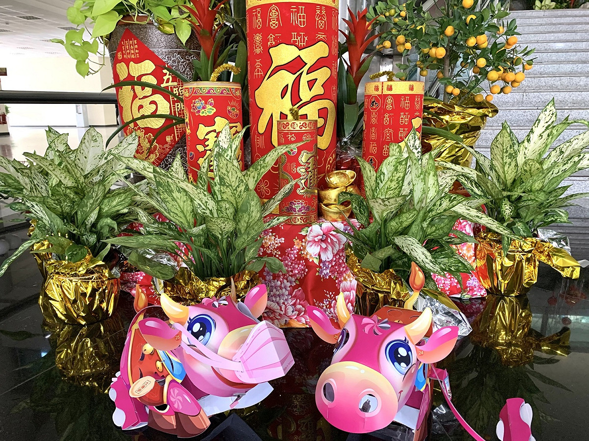 中市府觀光旅遊局特別開放小提燈模組檔案，提供民眾自行下載列印。 台中市政府/提供