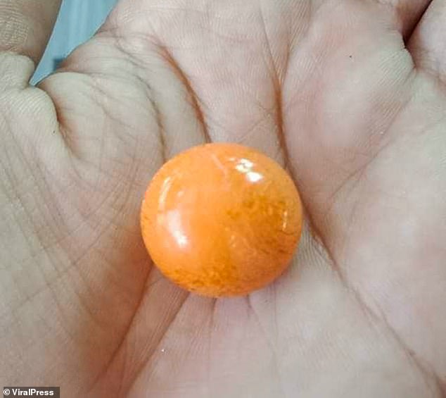 美樂珠，俗稱龍珠。 圖：翻攝自Melo pearl推特
