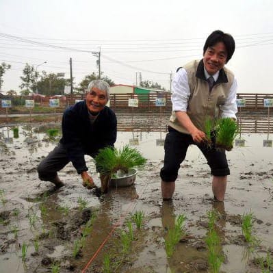 副總統賴清德20日臉書貼出先前與崑濱伯一起插秧的照片 圖：賴清德臉書