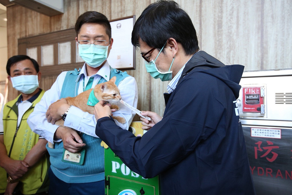 陳其邁與貓相見歡 圖:高雄市政府提供