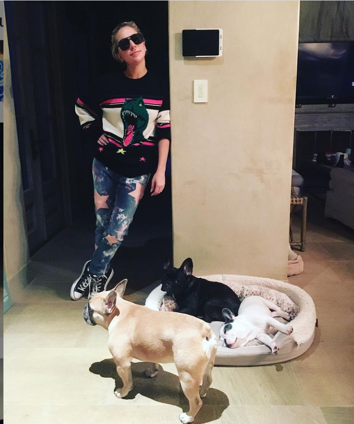 Lady Gaga養了3隻法鬥，分別是Koji、Gustavo和Asia。 圖：翻攝自Lady Gaga IG