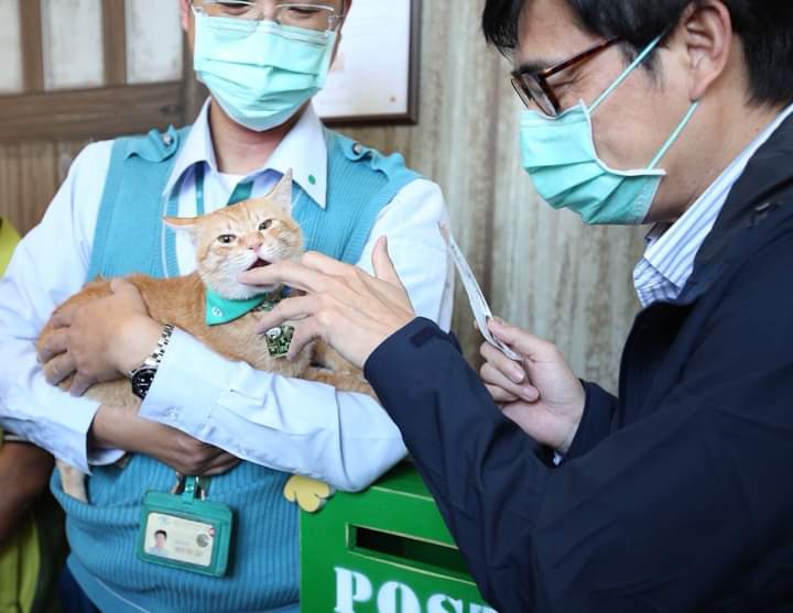 陳其邁親自餵食蜜柑。 圖：翻攝陳其邁臉書