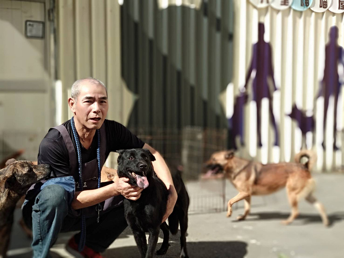 退休波麗士大人彭昭左8年來風雨無阻，到八里動物之家照顧毛寶貝。 圖：新北市動物處提供