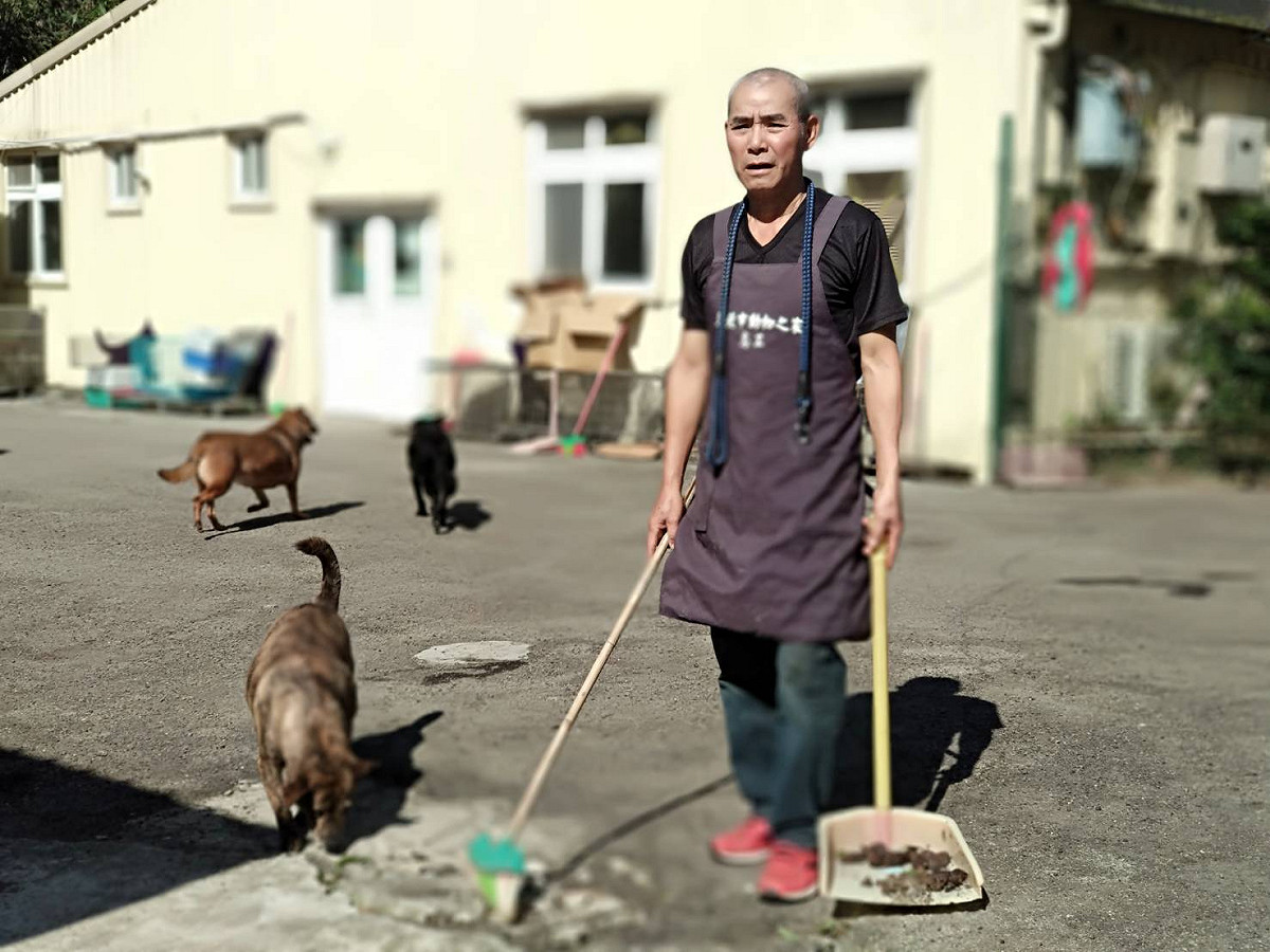 牽狗散步、餵食、清掃屎便是日常培養感情第一步，彭昭左甘之如飴。 圖：新北市動物處提供