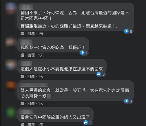 網友在梁文傑臉書貼文底下痛罵劉樂妍稱，「最會安慰中國解放軍的婦人又出現了」、「賺人民斃（幣）的悲哀，就當是一般五毛，太在意它的言論反而助長氣勢。破X！」 圖：翻攝自台北市議員梁文傑臉書