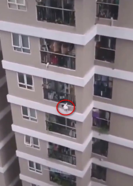 儘管女童奮力抓住鐵欄杆，仍從12樓急墜而下，還好被一樓搬家公司司機當場接住。 圖：翻攝推特