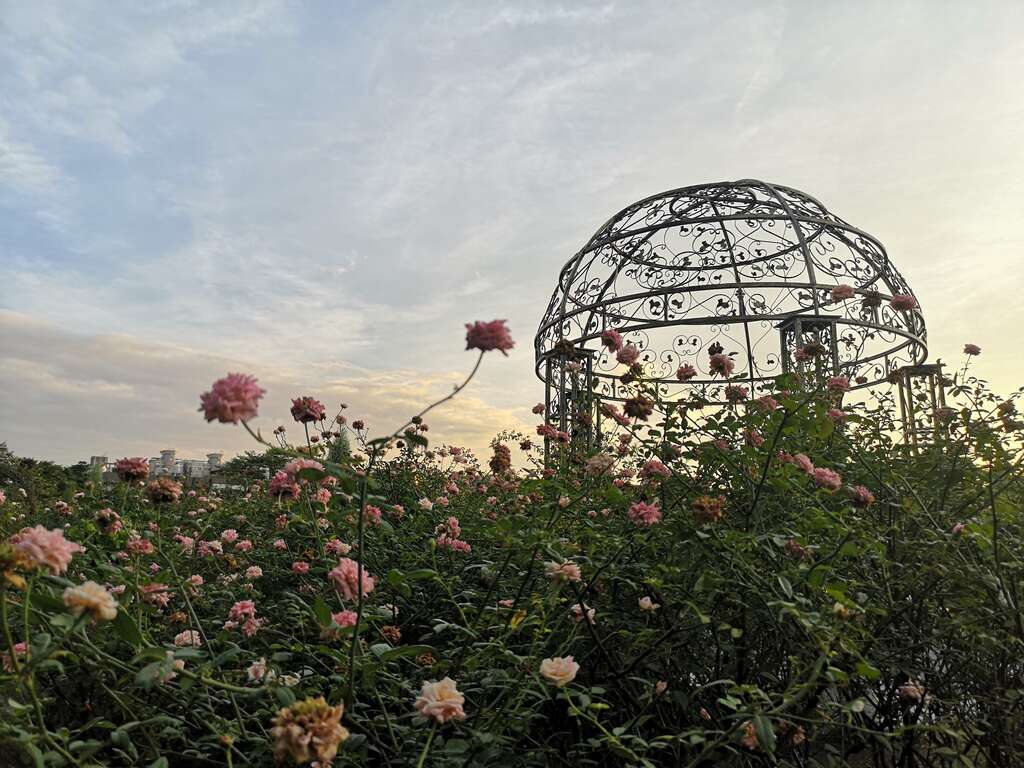 玫瑰園光之穹頂。 圖：取自台北旅遊網