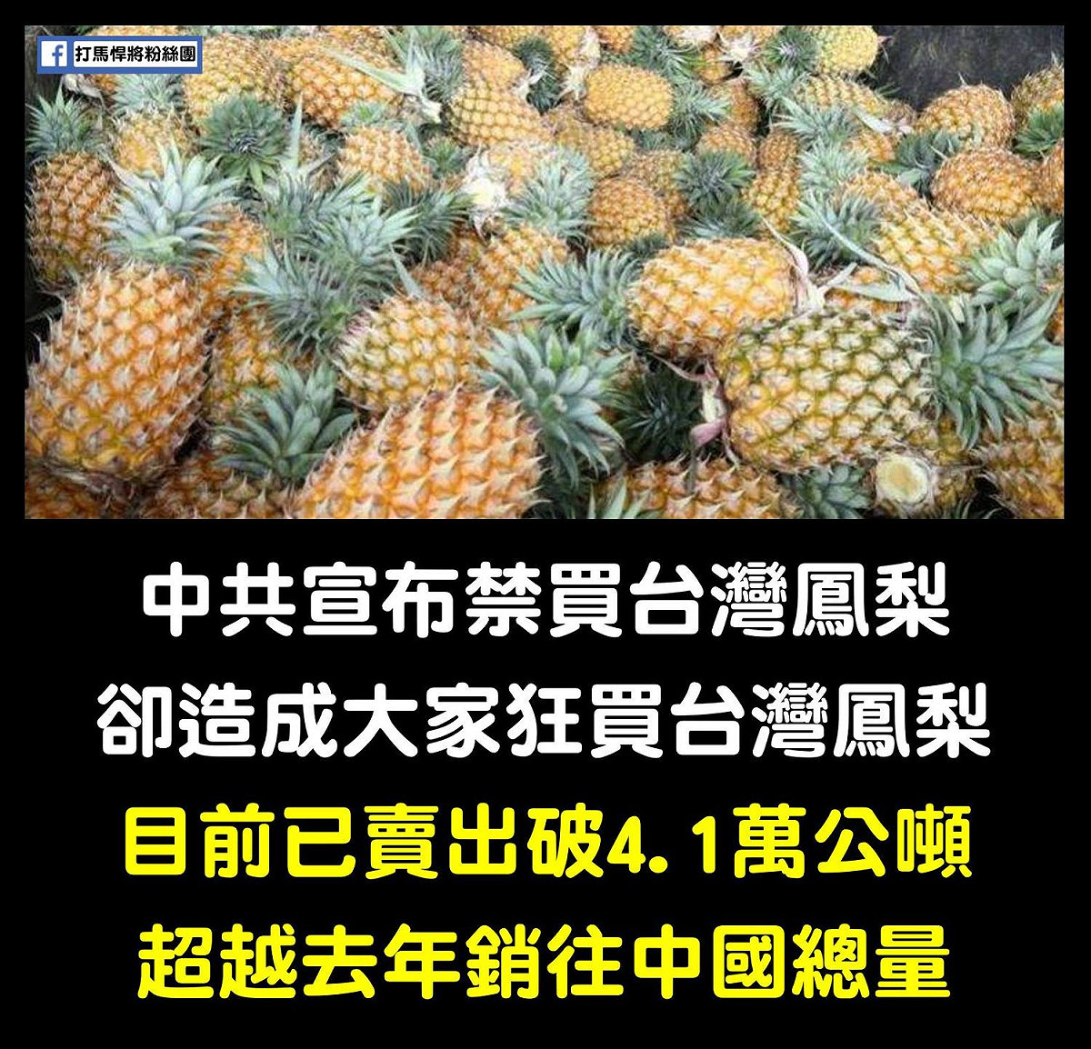 鳳梨銷量直線上升中。 圖：擷取自臉書