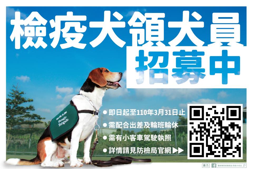 動植物防疫檢疫局公開召募檢疫犬領犬員，只要大專院校以上學歷，有汽車駕照、懂英文，歡迎報名。 圖：翻攝自防檢局臉書