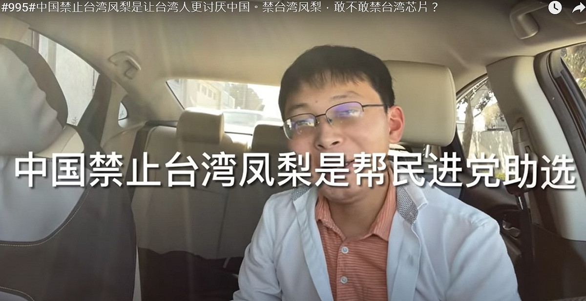 「江蘇小哥」認為，中國禁止台灣鳳梨進口的行為根本是免費幫台灣鳳梨打廣告。 圖：翻攝 Vlog心聲Youtube