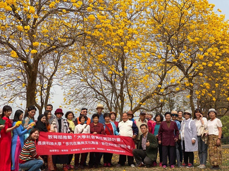 國立中正大學黃花風鈴木大爆發，銀髮族與新住民一起進校園賞花。 圖：中正大學盧鴻毅教授/提供