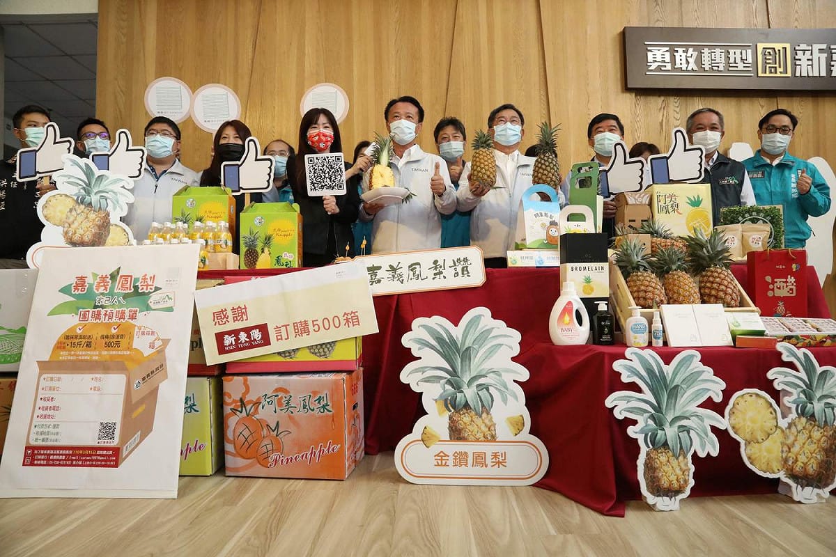 因中國宣布3月1日起暫停台灣鳳梨進口，嘉義縣啟動鳳梨預購平台。 圖：嘉義縣政府/提供