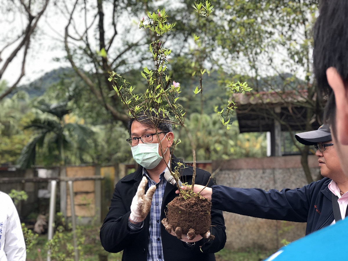 嘉義大學林瑞進副教授說明烏來杜鵑實生苗種植方式。 圖：新北市農業局提供