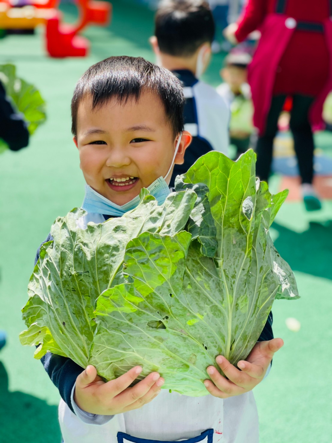 竹林附幼的小朋友抱著高麗菜，喜形於色。 圖：竹林中學提供