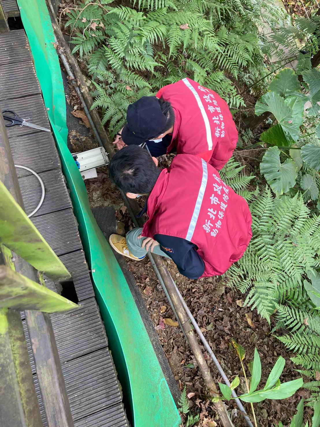 動物廊道出口處架設監視器。 圖：新北市動保處提供