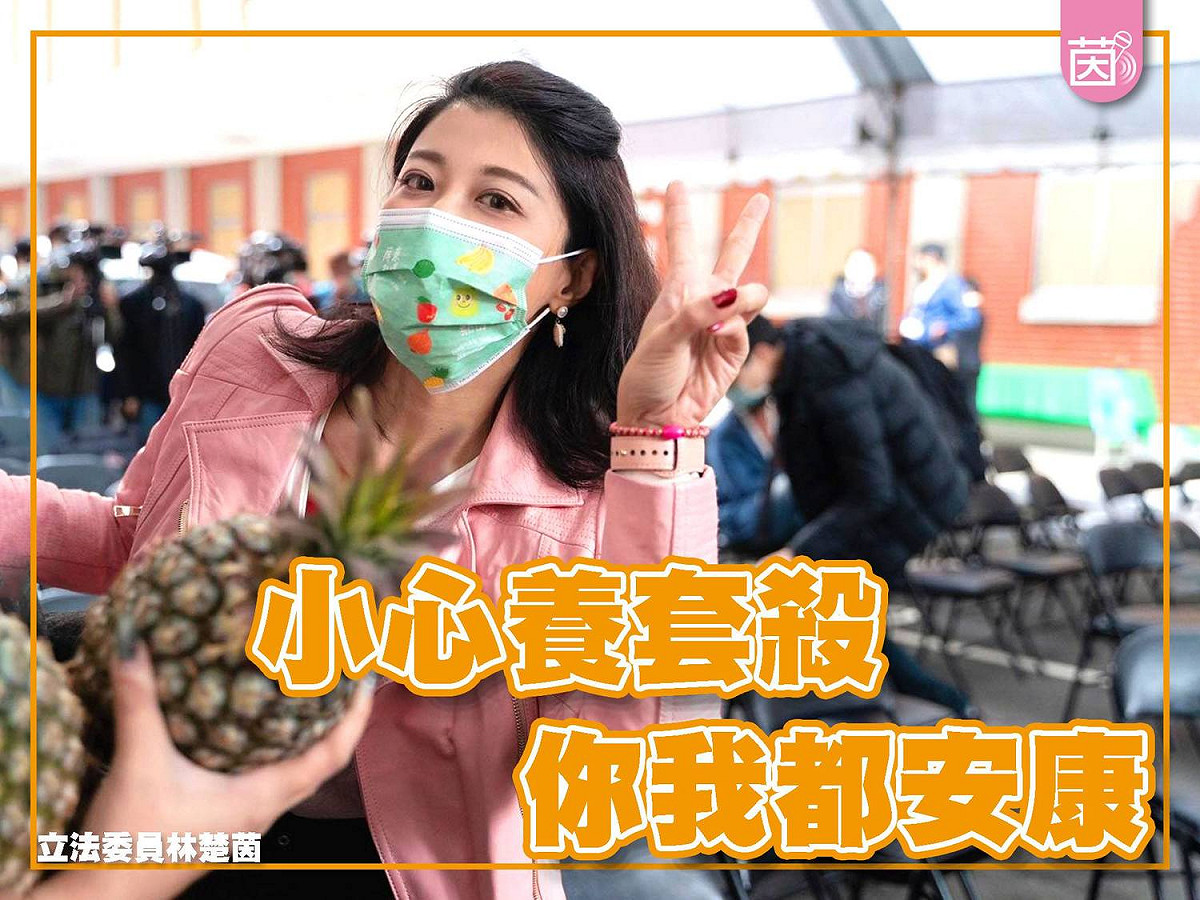 綠委林楚茵痛批國台辦 圖:擷取自臉書