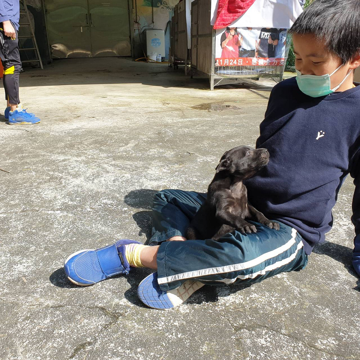 小朋友沒多久就和毛寶貝玩成一片。 圖：新北市動保處提供
