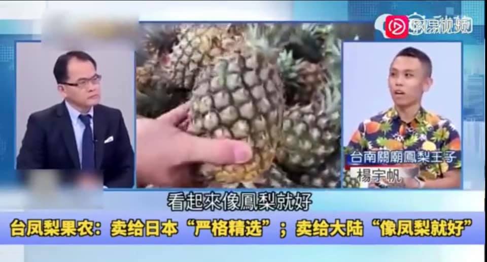 關廟鳳梨王子楊宇帆日前在節目上稱，對岸要求鳳梨品質不高，輸日的鳳梨則是嚴選精品。 圖：取自林佳新臉書