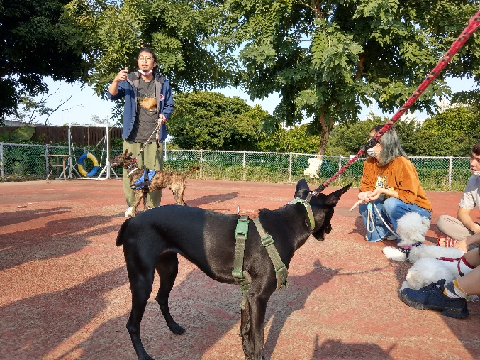 新北市動保處邀請台北市陪伴犬協會3月起，每週日在板橋動物生命教育園區開設毛寶貝訓練課程，免費的7堂課將有效解決飼主惱人的吠叫、撲咬、亂大小便等犬隻行為問題。 圖：新北市動保處提供