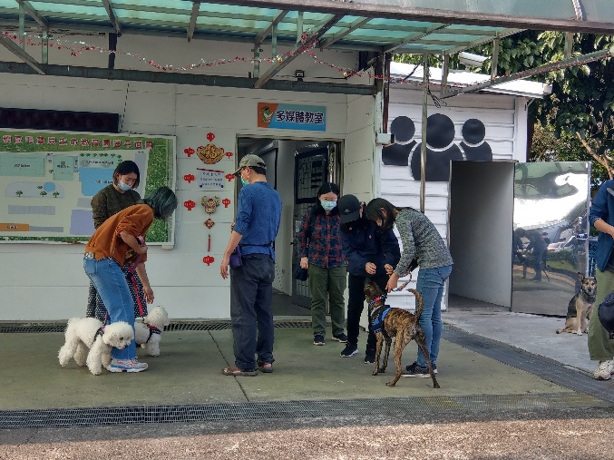 教練陳彥佑幫吳小姐訓練嘟嘟跟妞妞。 圖：新北市動保處提供