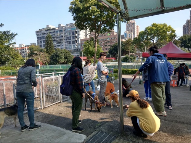 教練們觀察飼主與毛寶貝互動。 圖：新北市動保處提供
