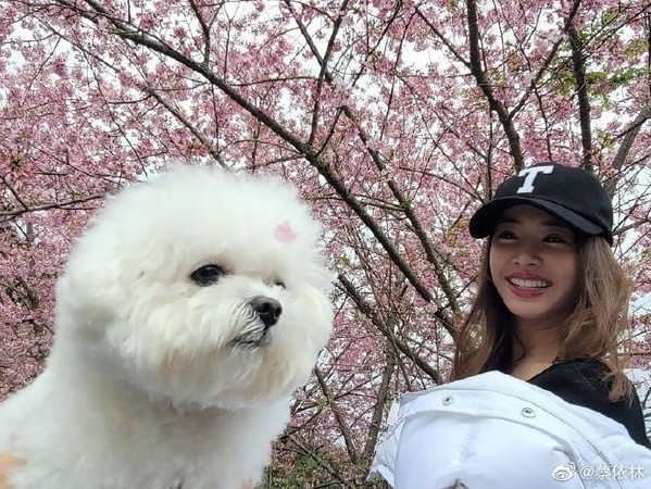 她戴著棒球帽，露出燦爛又甜美的笑容，可見好心情。 圖：翻攝自微博