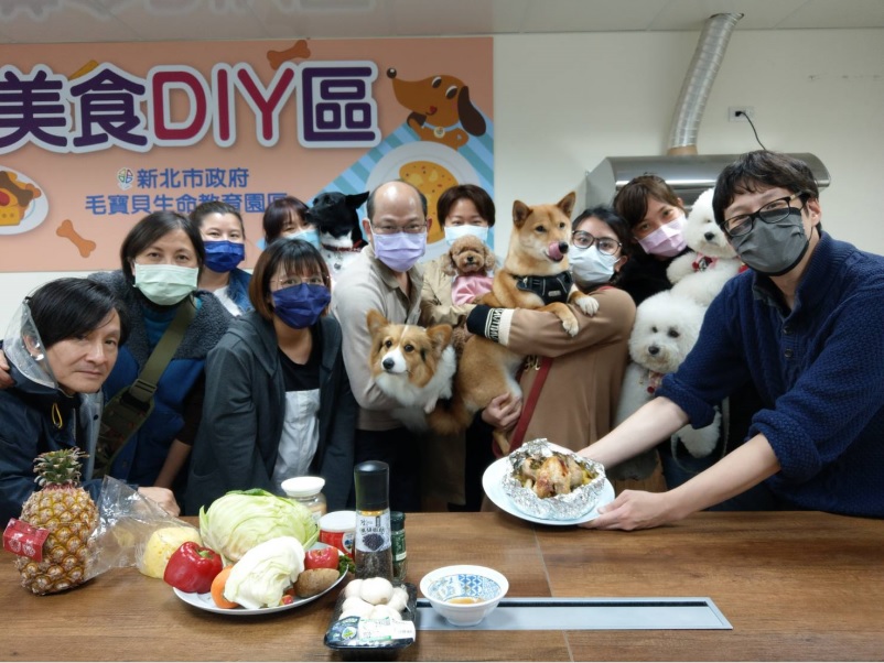 貓吉老師鳳梨高麗菜鮮蔬烤雞開課了。 圖：新北市動保處提供