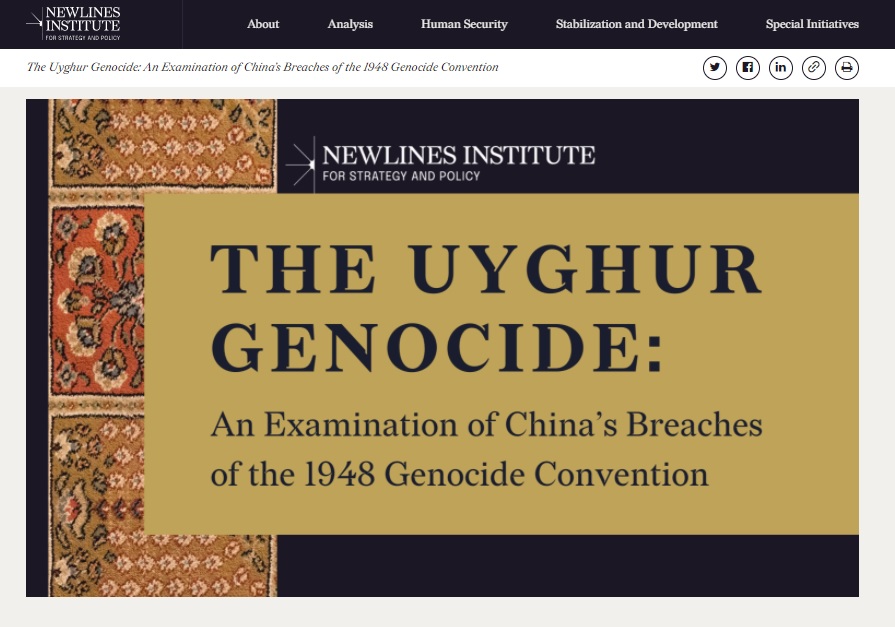 華府智庫「創新戰略與政策研究所」公佈報告，檢視中國在新疆犯下種族滅絕罪 圖：新線戰略與政策研究所網頁