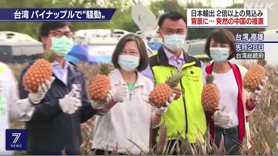 日本放送協會（NHK）10日在早晚黃金時段都報導台灣鳳梨。 圖：翻攝自NHK