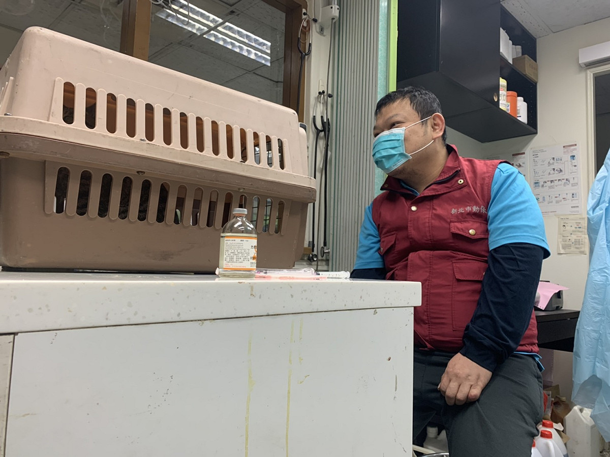 動保處毛寶貝醫療中心的呂醫師，民眾有毛寶貝的問題都可以打來動保處詢問。 圖：新北市動保處提供