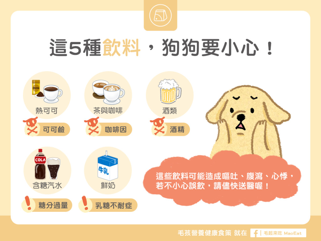 生活中的飲料過甜或含有咖啡因也都不適合毛寶貝。 圖片來源「毛起來MAOUP」臉書粉專、新北市動保處提供