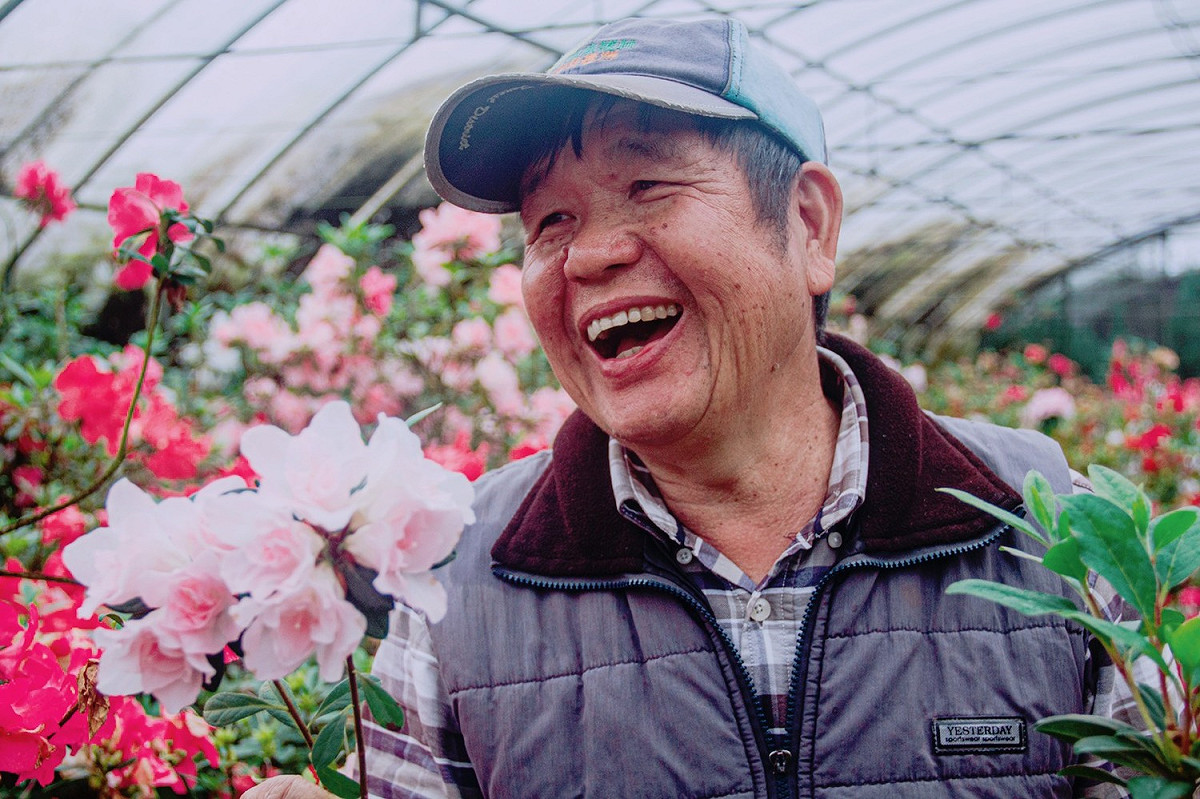 柳枝芳班長與杜鵑溫室。 圖：新北市農業局提供