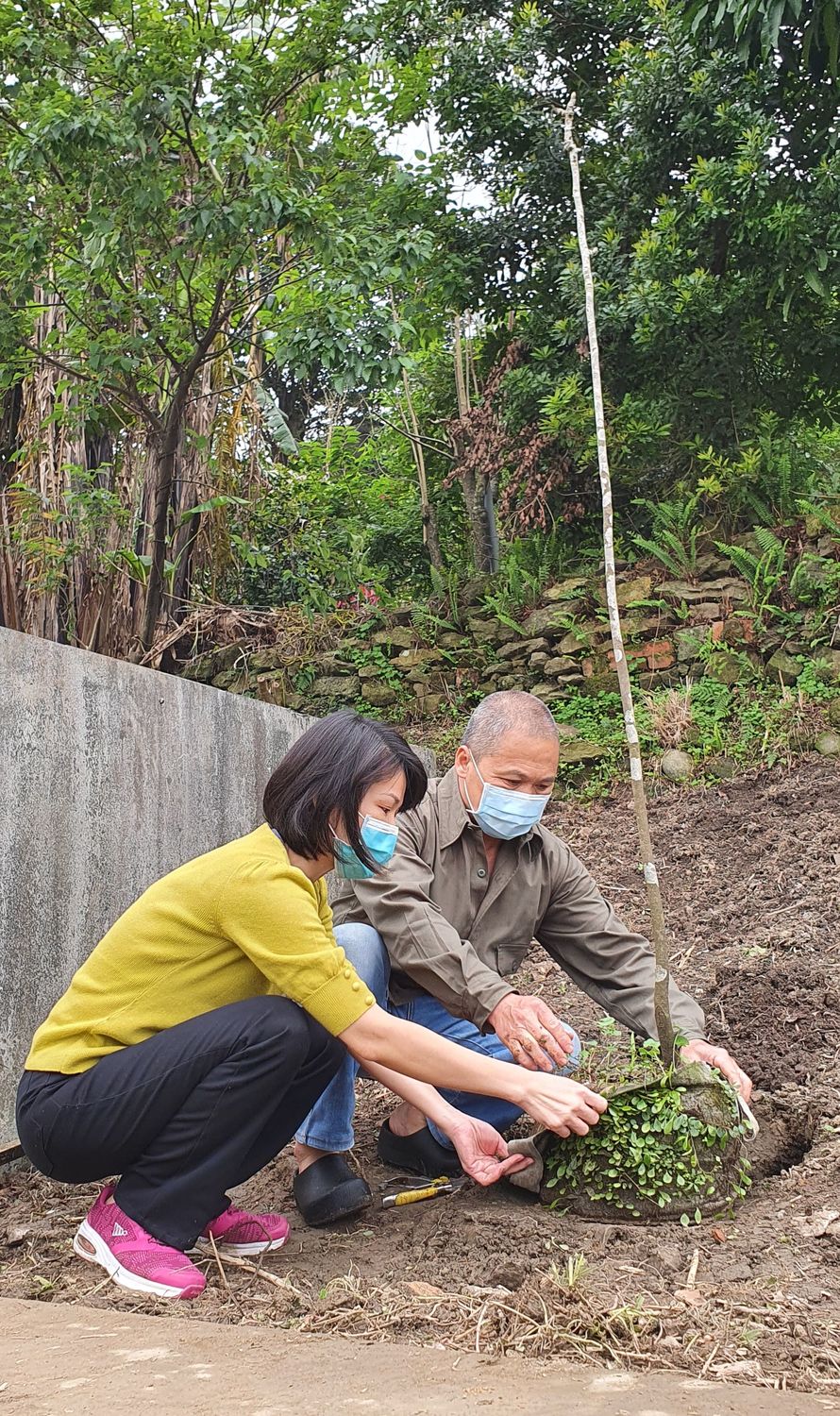 陳清課與楊淑方打造貓咪樂園，響應植樹節種植國寶鐘萼木、貓薄荷。 圖：新北市動保處提供