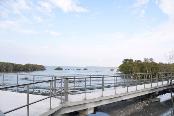 芳苑濕地有全台最大的、寬達6公里的濕地潮間帶。 圖：彰化縣政府城市暨觀光發展處／提供