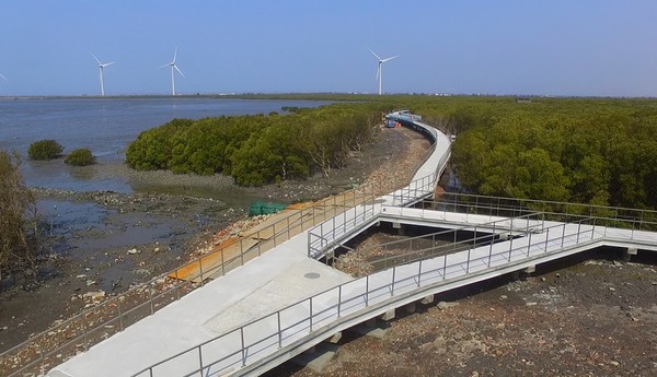 芳苑濕地將打造一條長1028公尺的海空步道穿梭於紅樹林間。 圖：彰化縣政府城市暨觀光發展處／提供