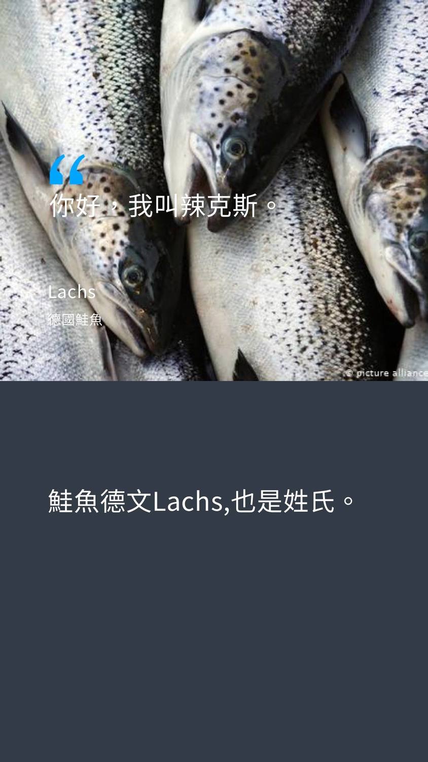 德國鮭魚 圖:擷取自德國之聲臉書