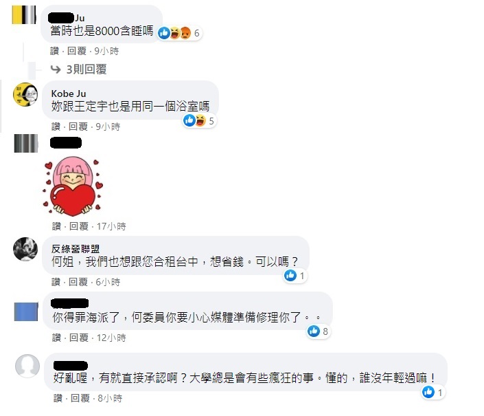 何欣純衰捲王定宇租屋風暴，臉書出現許多酸民帳號言語羞辱 圖：何欣純臉書