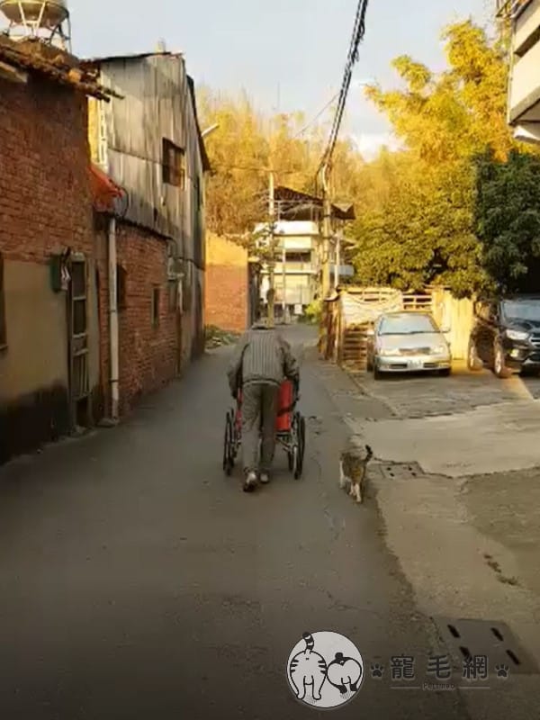 網友家的阿公日前推著輪椅幫住家附近的浪貓「送便當」。 圖：網友單細胞／提供