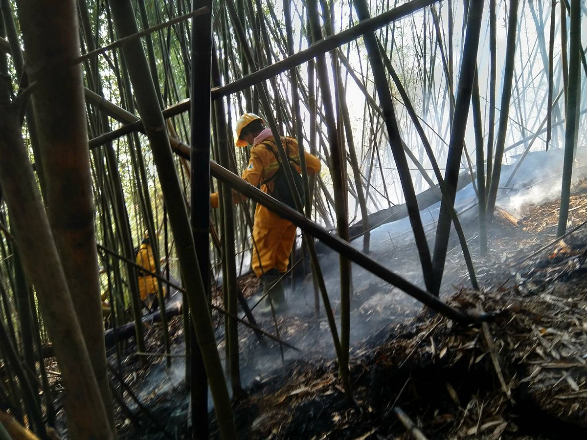 阿里山森林火災目前仍有2處火點，大批人員不間斷在投入救災中，救災人員在山林間勘查並撲滅殘火。 圖：翻攝自阿里山國家森林遊樂區臉書