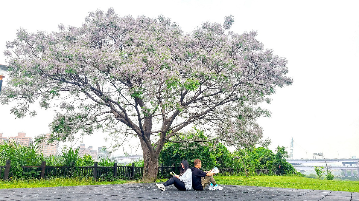 陽光運動公園。 圖：新北市高灘處／提供