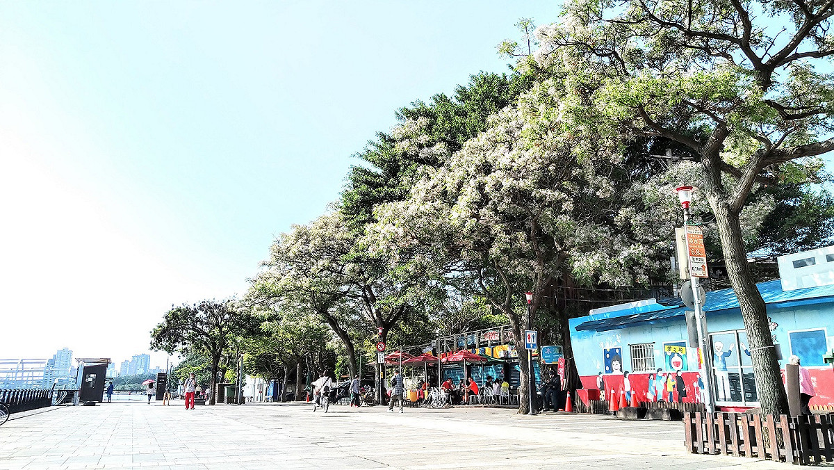 淡水金色水岸。 圖：新北市高灘處／提供