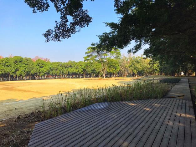 大隆田生態文化園區以建構綠色基盤為概念，將結合周邊資源，打造環境教育與創生學習基地。 圖：台南市都發局／提供