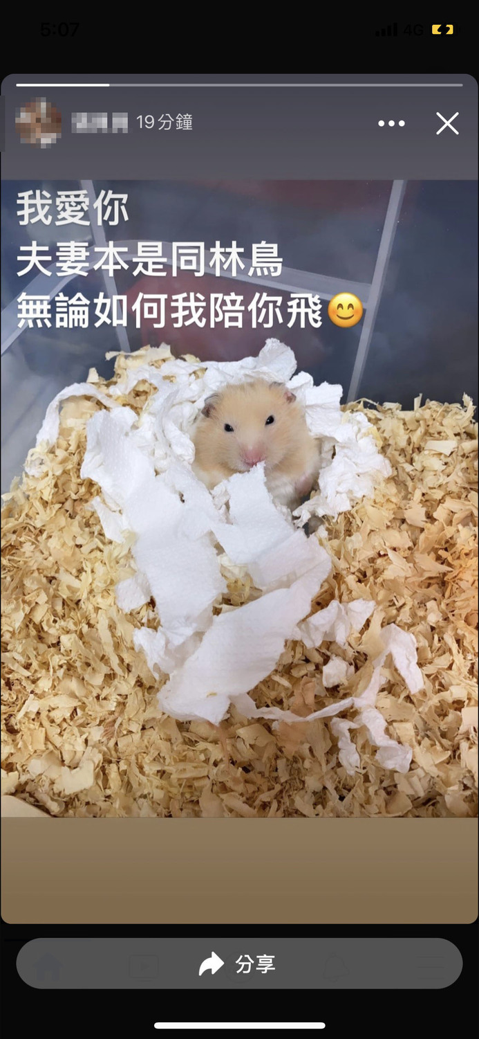 傳出失事消息後，羅尚樺妻子在社群發文，向羅尚樺喊話「我愛你」。 圖：取自羅尚樺妻子臉書