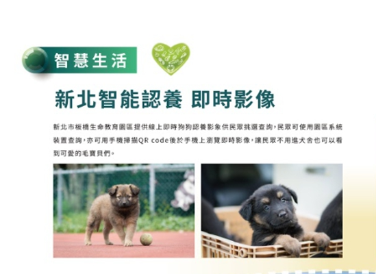 新北智能認養即時影像。 圖：新北市動保處提供