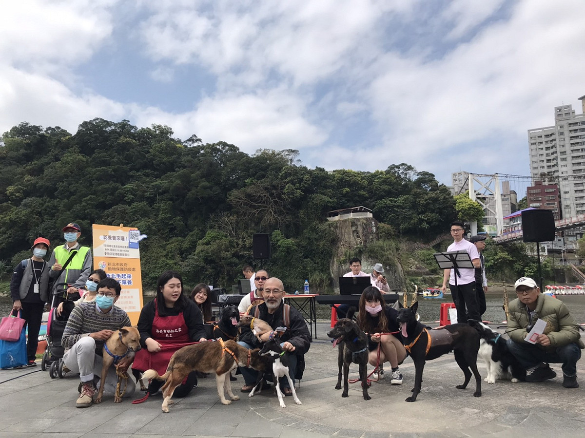新北市去年共認養出5218隻犬貓，認養率達97%；圖為3月14日白色情人節認養快閃活動。 圖：新北市動保處提供