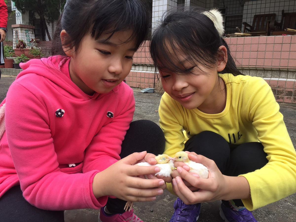 猴硐—蒙特梭利實驗小學將成為臺灣第一所公立蒙特梭利實驗小學。 圖：新北市教育局提供