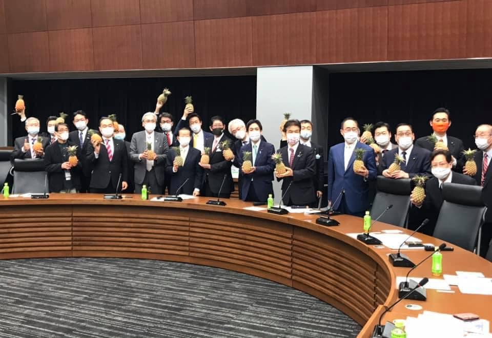 日本自民黨保守派議員組成的挺台團體「保守團結之會」昨日舉行讀書會，並力挺台灣鳳梨。 圖：取自謝長廷臉書