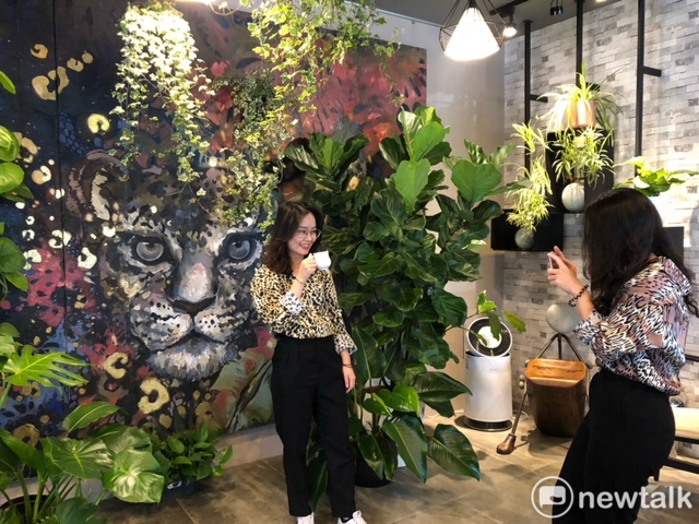 「珈琲地圖」將畫家陳聖萱為咖啡廠商繪製拍攝廣告的大型美洲豹壁畫張掛在店內，並以大量植物佈置成熱帶叢林，讓人宛如走進充滿野性美的叢林之中，立刻吸引網美前往拍照打卡，還有美眉特地穿上豹紋服飾和牆上的美洲豹合影。 圖：黃博郎／攝
